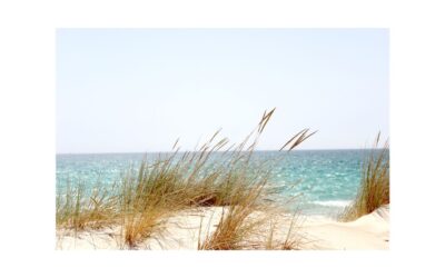 🌞 Agosto: un mese sacro tra devozione, energia e pratica yogica