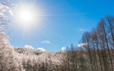 Solstizio d’inverno: la promessa silenziosa della luce